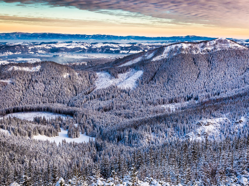 Przewodnicy tatrzańscy Zakopane Podhale