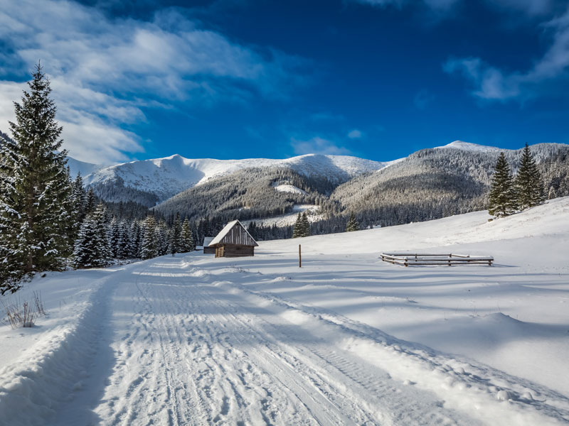 Chocholowska Valley with a guide